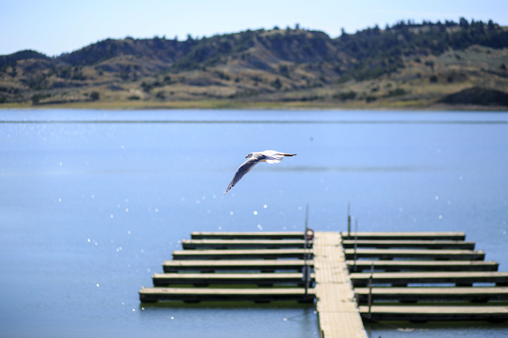 Hell Creek State Park